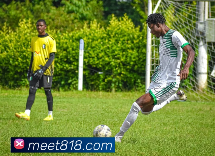 九游会j9服务体系