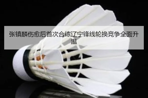 张镇麟伤愈后首次合练辽宁锋线轮换竞争全面升温